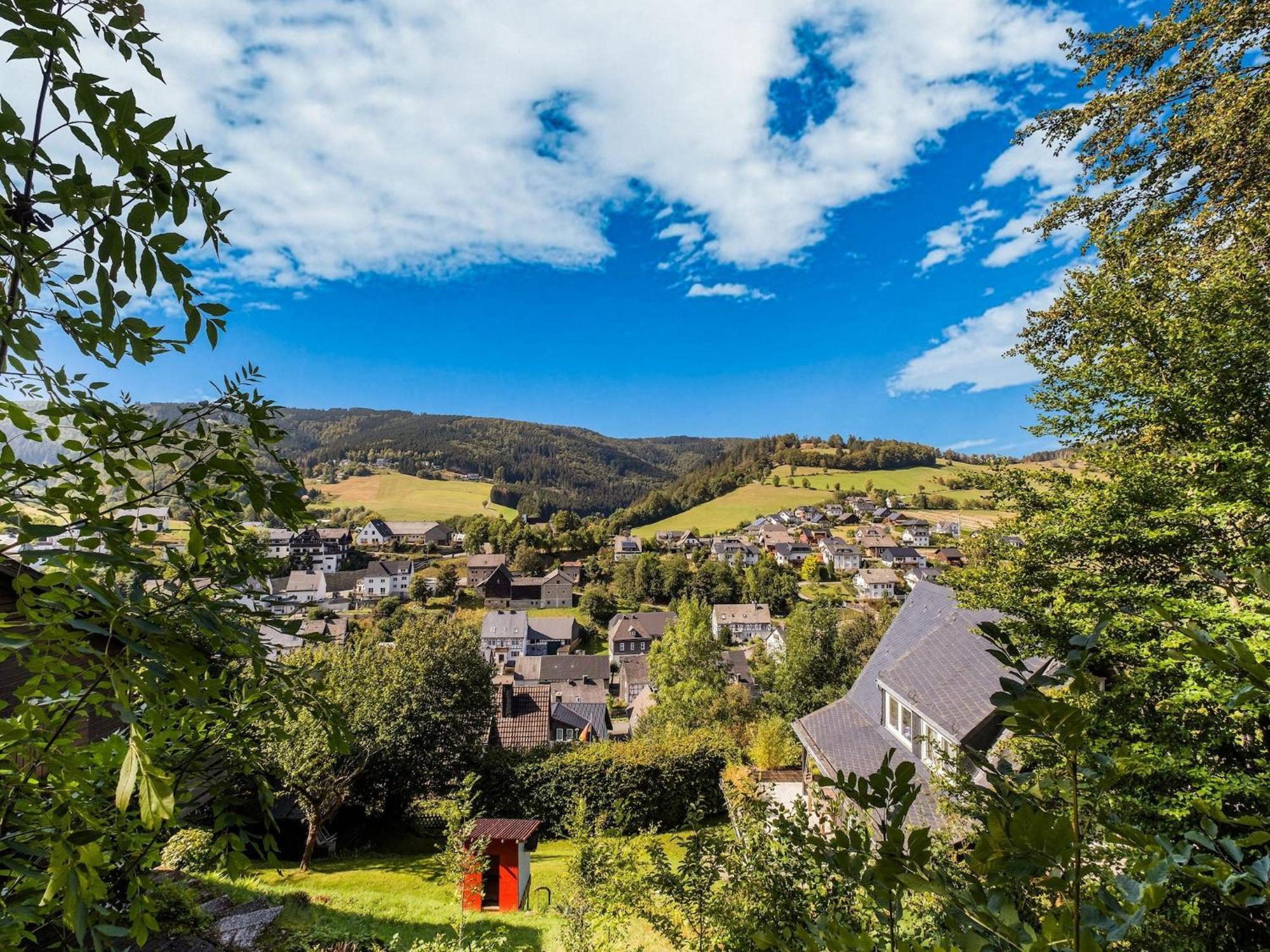 In Near The Hébergement de vacances Willingen (Upland)